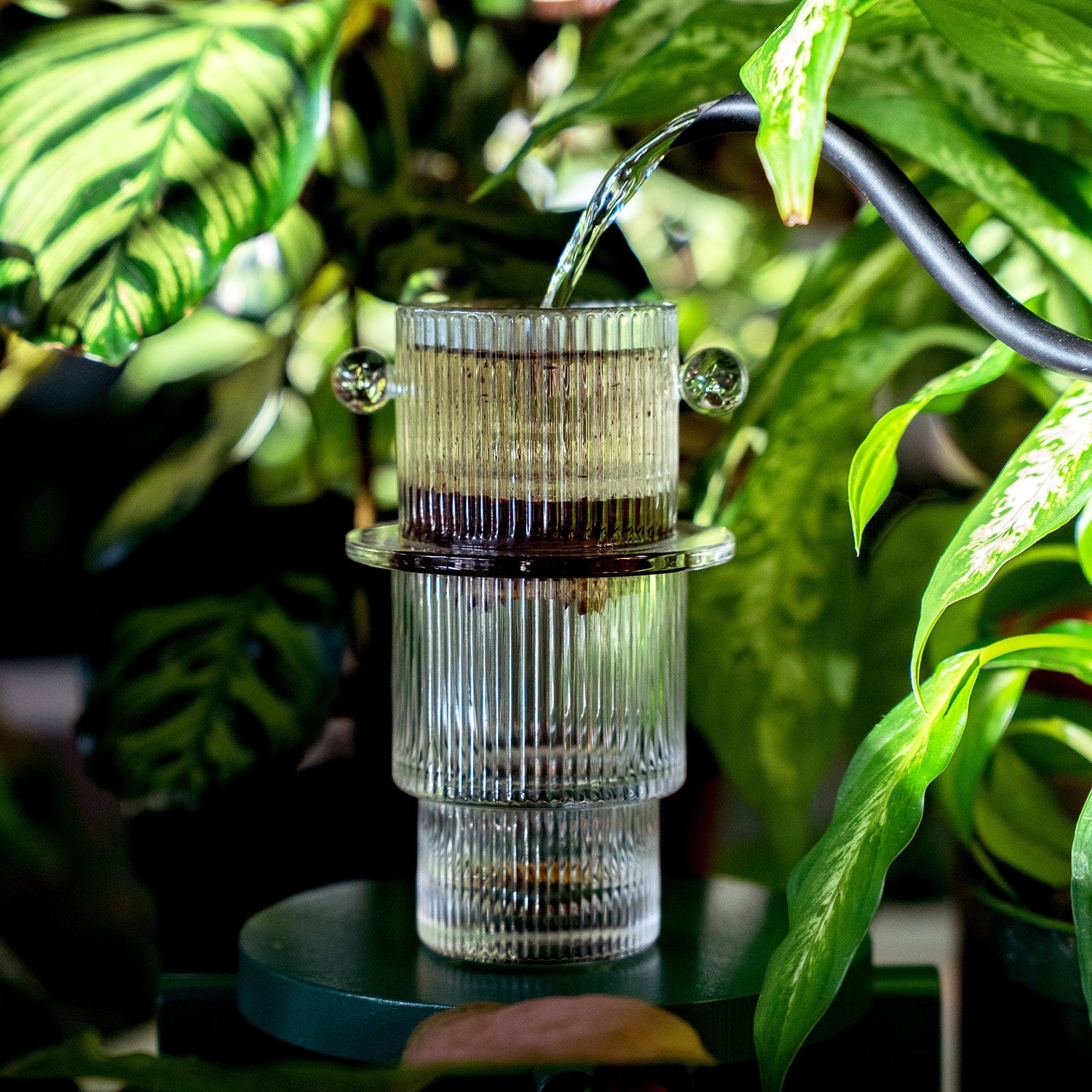 BONSBONS glass brewkit with the original glass phin in action.