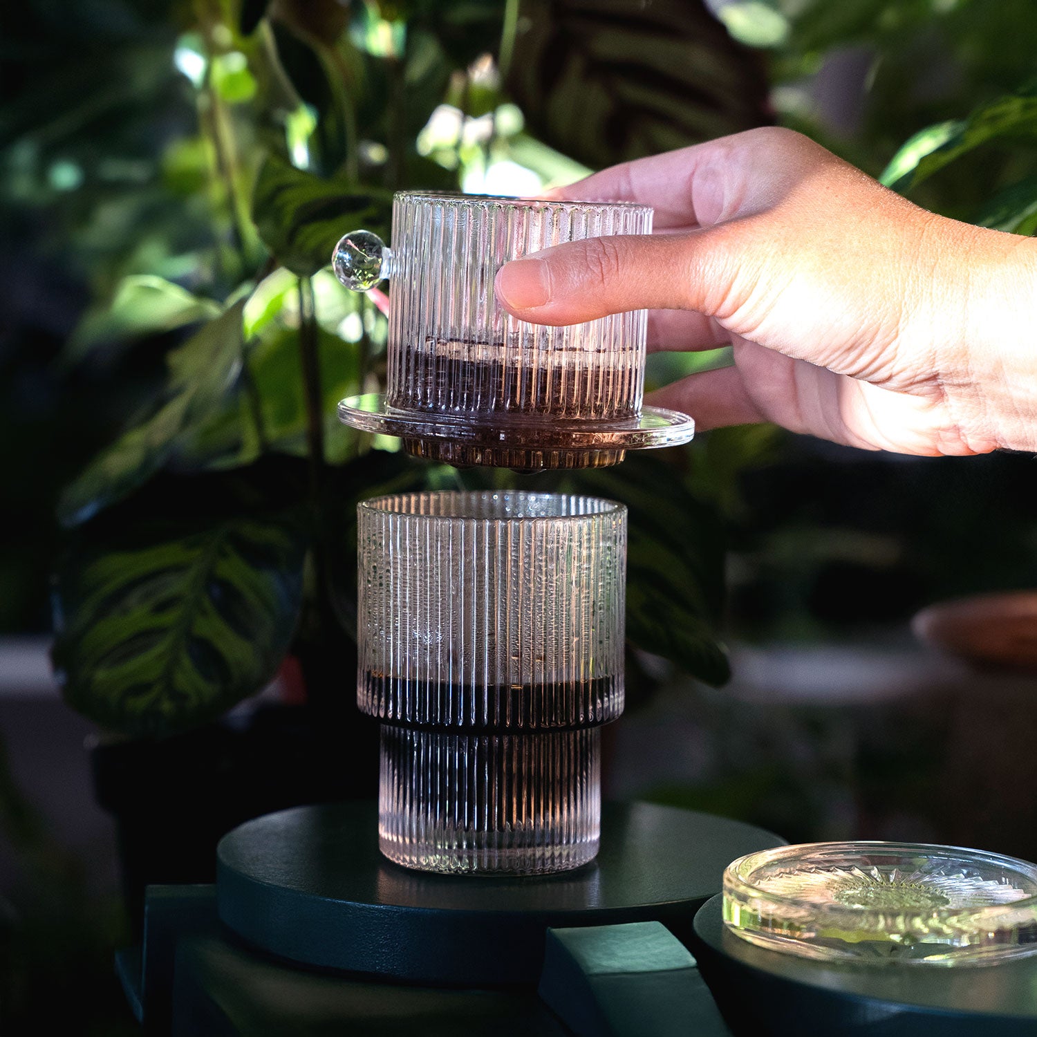 BONSBONS crystal glass phin brew kit in action